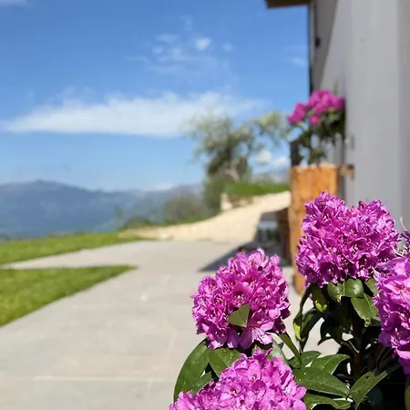 Maso K La Mucca Rossa * Folgaria
